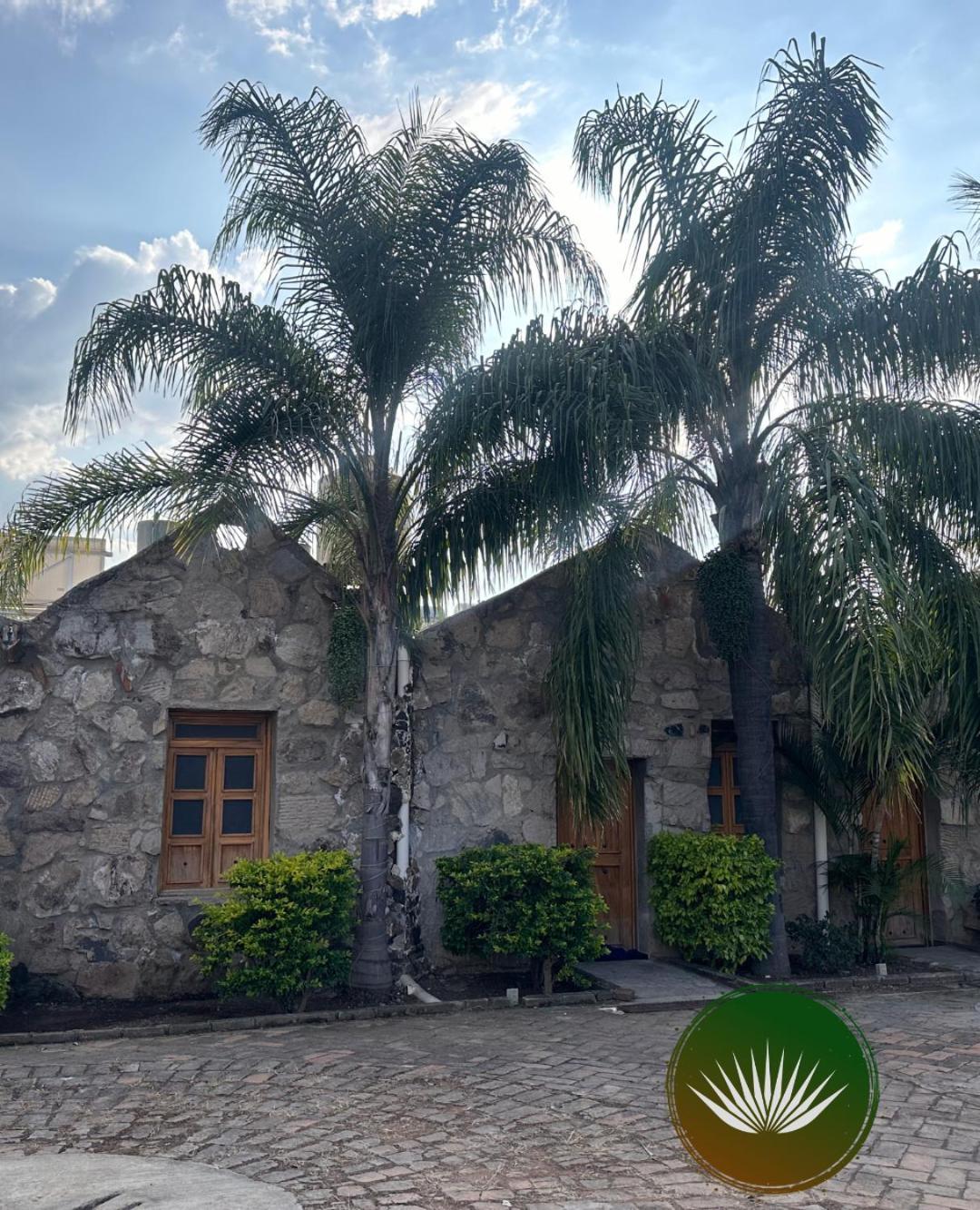 Hotel Terraza Monteagave Tequila Exterior foto